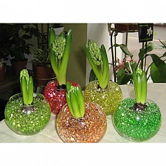 Гидрогелевые шарики Orbeez растущие в воде для рассады, комнатных цветов, декорации (Аквагрунт), 1 кг