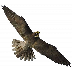 Отпугиватель птиц визуальный Хищник-2 (32х80 см)