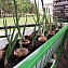 Вертикальный огород двусторонний "Найди", подставка-держатель, цвет зеленый, 6 кашпо в комплекте, 50х82х150 см #4