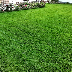 Семена газона Зеленый Квадрат Green Meadow, быстровосстанавливающийся, 1 кг
