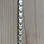 Составной браслет с магнитами STB-0149SG #5