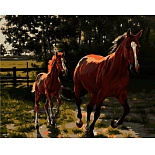 RSB0376 Набор для раскрашивания