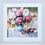 0005 Флоксы в моем саду