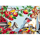 EX5576 Набор для раскрашивания