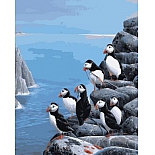 RSB1408 Набор для раскрашивания