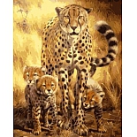 RSB1517 Набор для раскрашивания