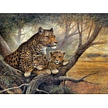 GX5438 Набор для раскрашивания