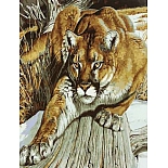 GX4016 Набор для раскрашивания