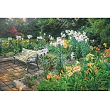 GX22811 Набор для раскрашивания