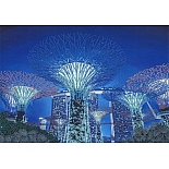 ДК 1104 Волшебный сад