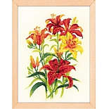 1782 "Солнечные лилии"