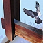 Шипы от птиц металлические противоприсадные Игла С-2, длина 50 см #2
