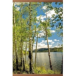 Электрический настенный пленочный обогреватель Домашний очаг (Катрина), Березы, 105х60 см