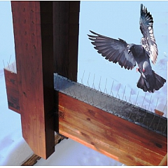 Шипы металлические противоприсадные  "Еж-металл 20" (устройство для отпугивания птиц) 50 см, 40 шипов, 2 ряда