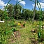 Садовая арка для растений "Найди", опора, цвет белый 90х150х250 см #3