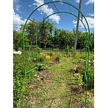 Садовая арка для растений "Найди", опора, цвет зеленый 60х150х250 см