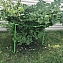 Кустодержатель-опора металлич. "Найди" для смородины, крыжовника, растений, цвет зеленый, диаметр 80 см, высота 70 см #2