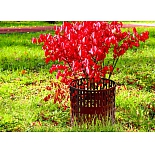 Защита кустов и деревьев Мастер Сад 4 секции по 35 см, выс. 21 см, коричневый