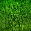 Семена газона Зеленый Квадрат Green Meadow, быстровосстанавливающийся, 1 кг #2
