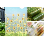 Пленка самоклеящаяся на окна UD-A1 Подсолнухи горизонтально 2,5х0,9 м